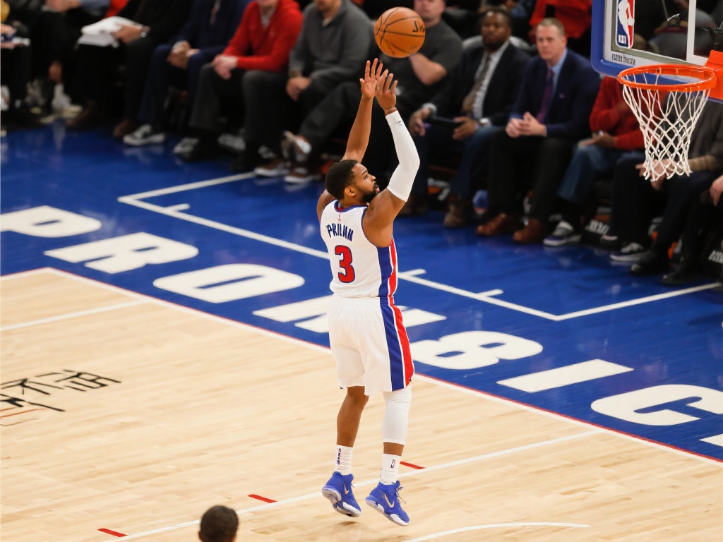 松找到自己 松找到自己